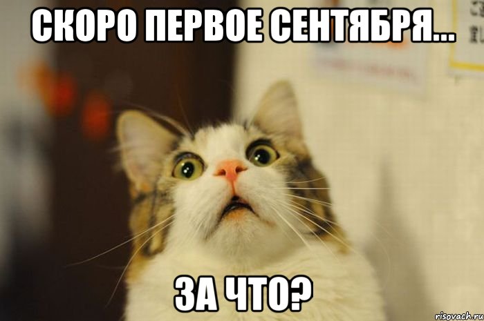 скоро первое сентября... за что?, Мем кака