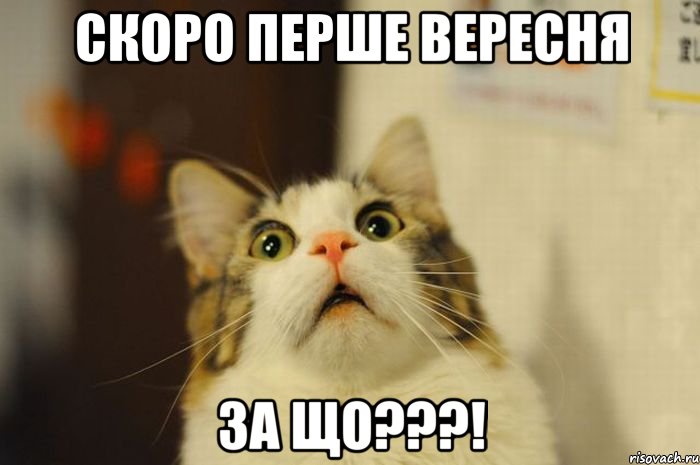 скоро перше вересня за що???!, Мем кака