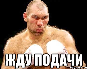  жду подачи