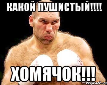 какой пушистый!!! хомячок!!!