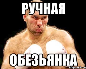 ручная обезьянка