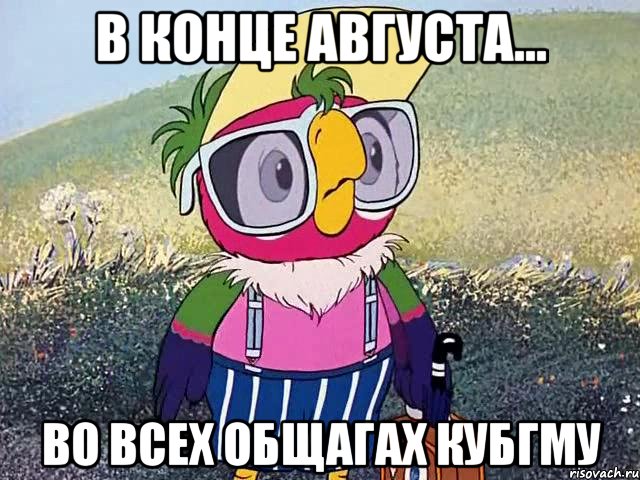 в конце августа... во всех общагах кубгму, Мем кеша