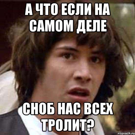 а что если на самом деле сноб нас всех тролит?, Мем А что если (Киану Ривз)