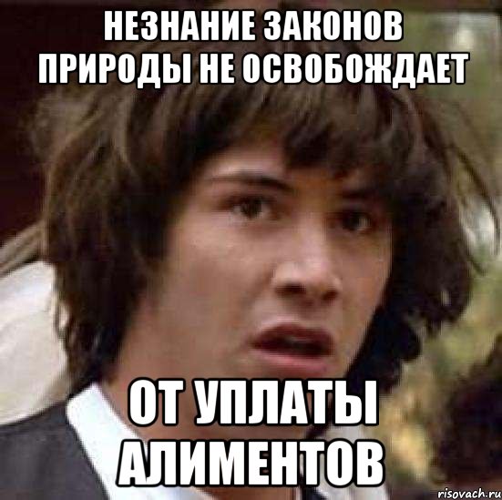 незнание законов природы не освобождает от уплаты алиментов, Мем А что если (Киану Ривз)