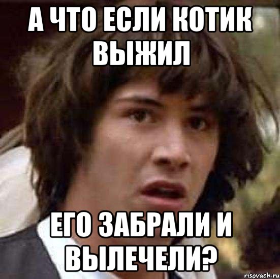 а что если котик выжил его забрали и вылечели?, Мем А что если (Киану Ривз)