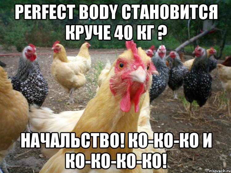 perfect body становится круче 40 кг ? начальство! ко-ко-ко и ко-ко-ко-ко!, Мем ко-ко-ко