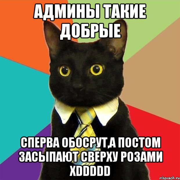 админы такие добрые сперва обосрут,а постом засыпают сверху розами хddddd, Мем  Кошечка