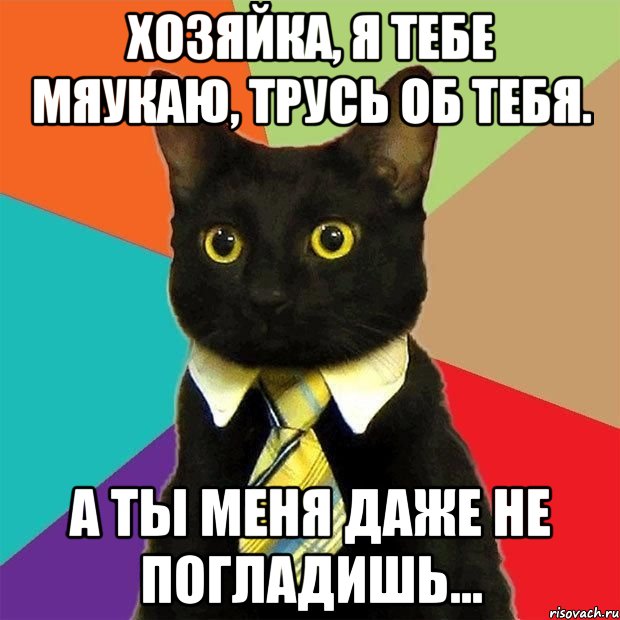 хозяйка, я тебе мяукаю, трусь об тебя. а ты меня даже не погладишь..., Мем  Кошечка