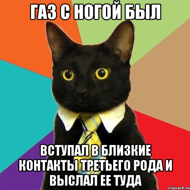 газ с ногой был вступал в близкие контакты третьего рода и выслал ее туда, Мем  Кошечка