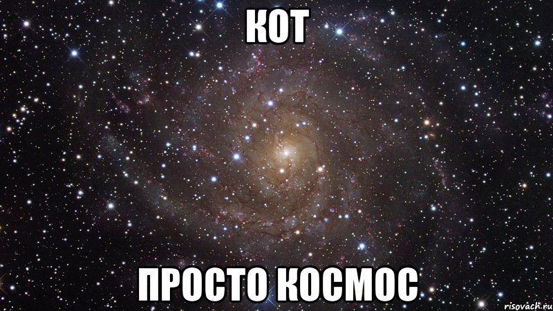 кот просто космос, Мем  Космос (офигенно)
