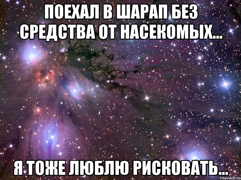 поехал в шарап без средства от насекомых... я тоже люблю рисковать..., Мем Космос