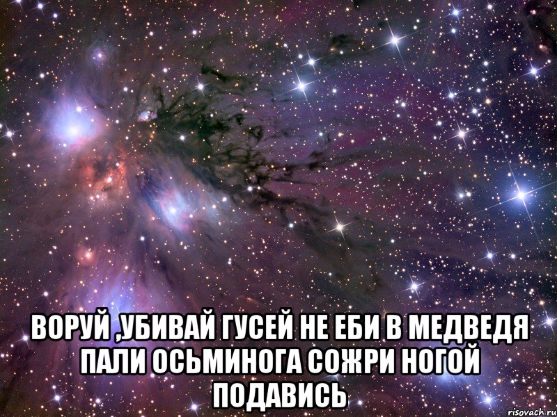  воруй ,убивай гусей не еби в медведя пали осьминога сожри ногой подавись, Мем Космос