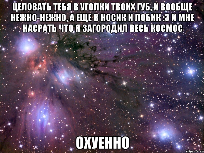 целовать тебя в уголки твоих губ, и вообще нежно-нежно, а еще в носик и лобик :3 и мне насрать что я загородил весь космос охуенно, Мем Космос