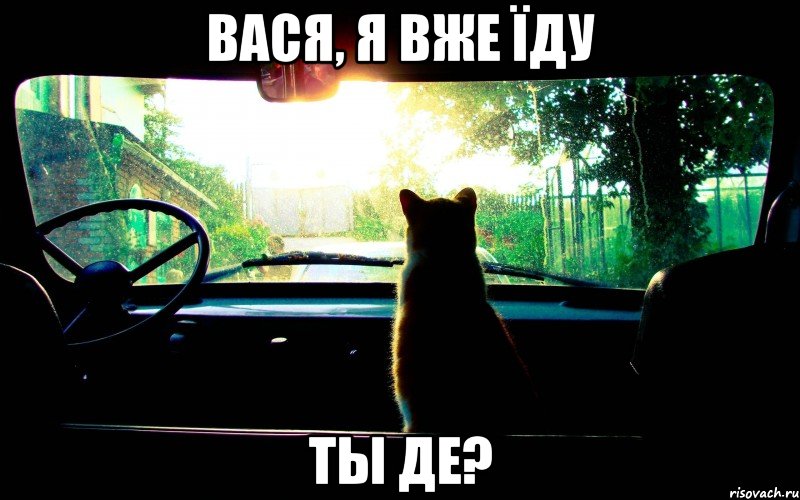 вася, я вже їду ты де?