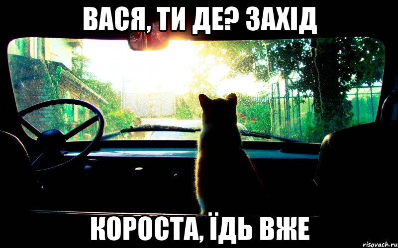 вася, ти де? захід короста, їдь вже