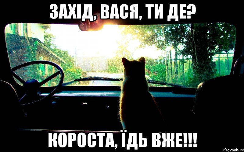 захід, вася, ти де? короста, їдь вже!!!