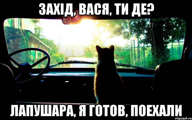 захід, вася, ти де? лапушара, я готов, поехали