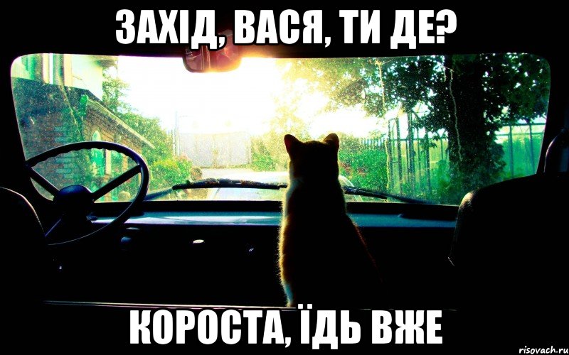 захід, вася, ти де? короста, їдь вже