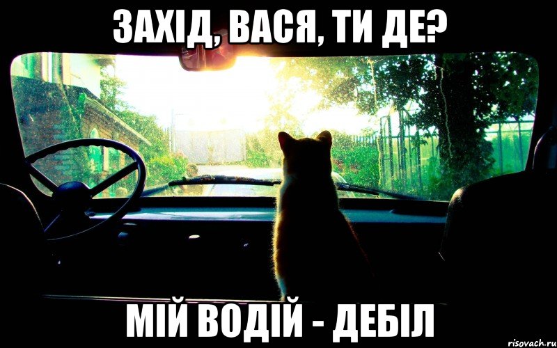 захід, вася, ти де? мій водій - дебіл