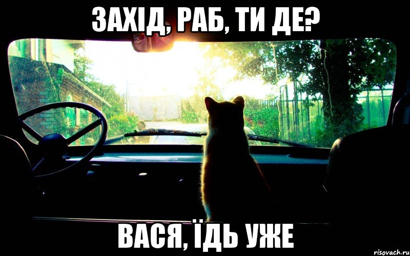 захід, раб, ти де? вася, їдь уже