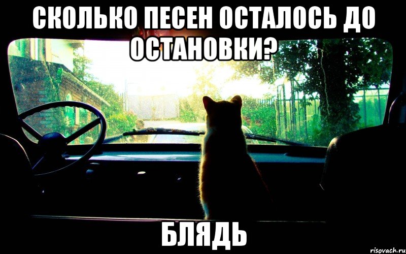 сколько песен осталось до остановки? блядь