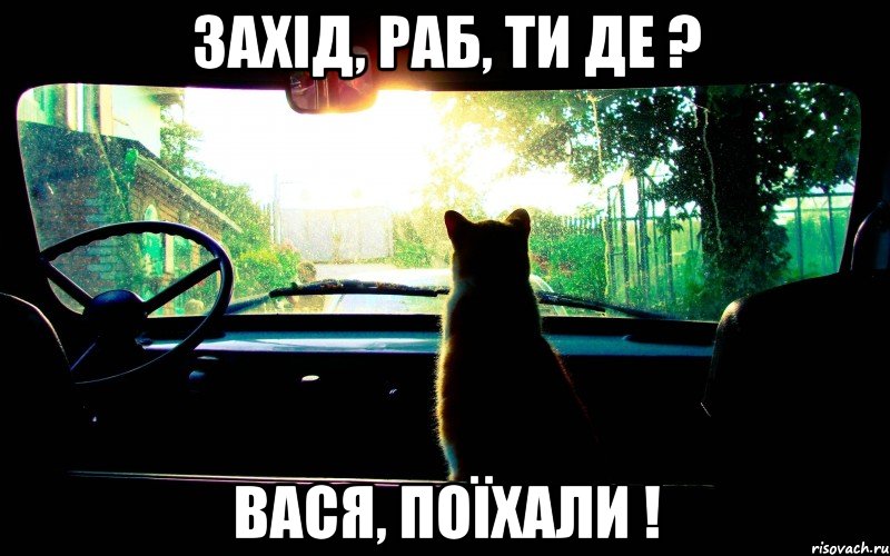 захід, раб, ти де ? вася, поїхали !