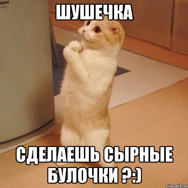 шушечка сделаешь сырные булочки ?:), Мем  котэ молится