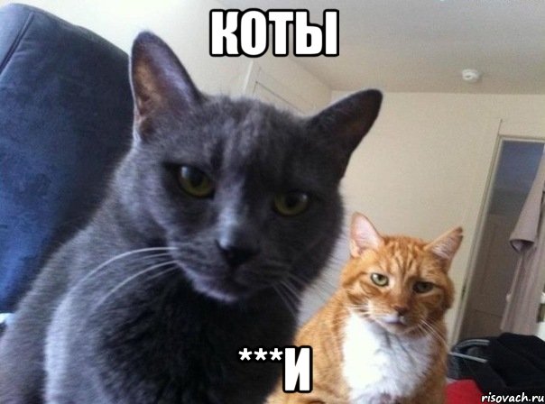 коты ***и, Мем  Два котэ