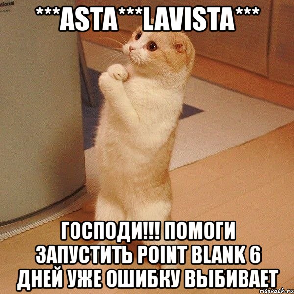 ***asta***lavista*** господи!!! помоги запустить point blank 6 дней уже ошибку выбивает, Мем  котэ молится