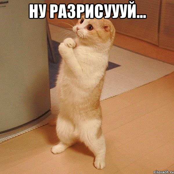 ну разрисуууй... , Мем  котэ молится