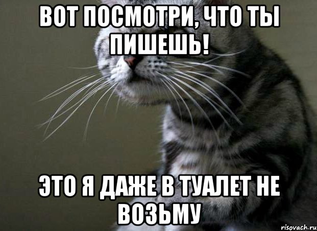 вот посмотри, что ты пишешь! это я даже в туалет не возьму, Мем котэ
