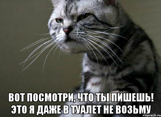  вот посмотри, что ты пишешь! это я даже в туалет не возьму, Мем котэ