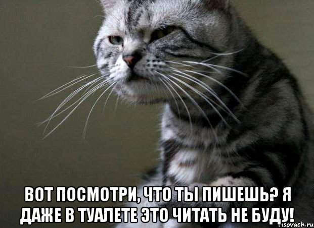  вот посмотри, что ты пишешь? я даже в туалете это читать не буду!, Мем котэ