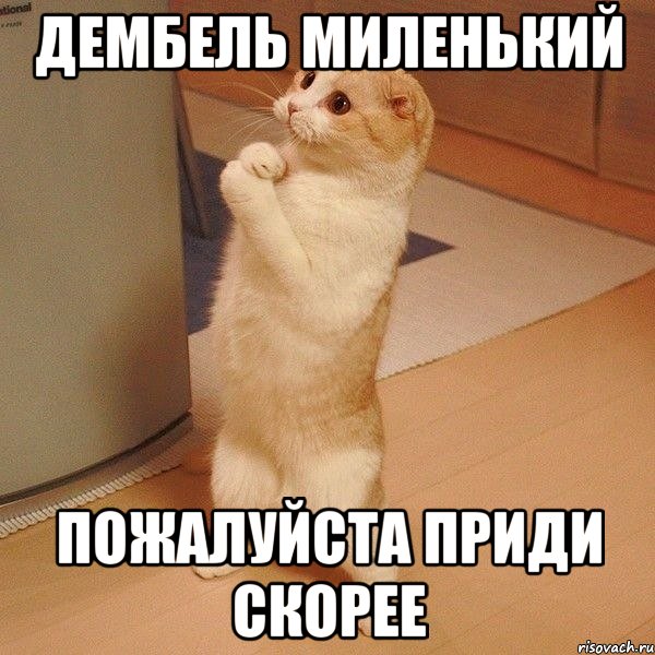 http://risovach.ru/upload/2013/08/mem/kote_28278802_orig_.jpg