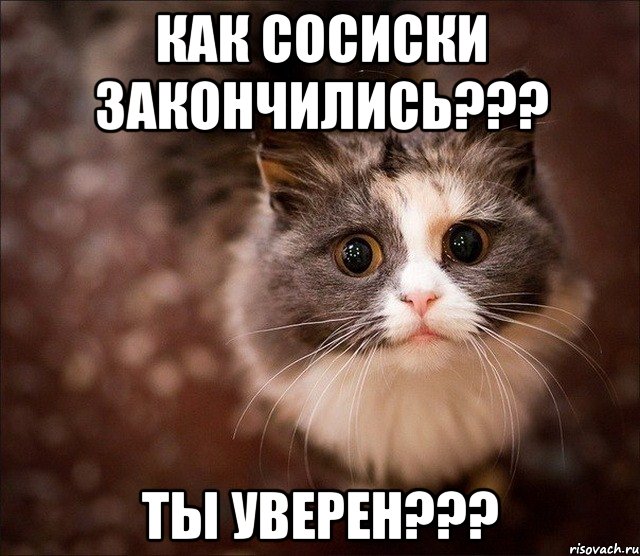 как сосиски закончились??? ты уверен???, Мем Котик
