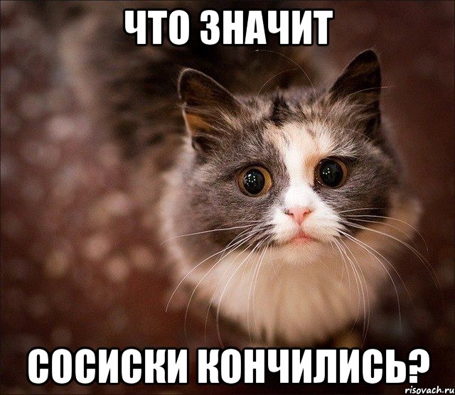 что значит сосиски кончились?, Мем Котик