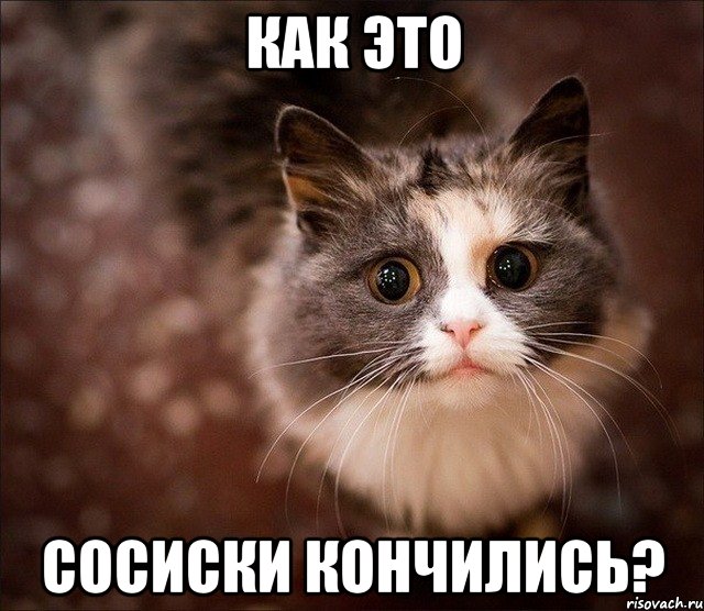 как это сосиски кончились?, Мем Котик