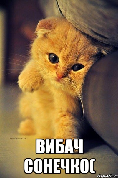  вибач сонечко(