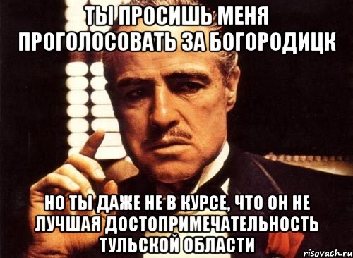 ты просишь меня проголосовать за богородицк но ты даже не в курсе, что он не лучшая достопримечательность тульской области, Мем крестный отец