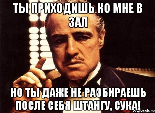 ты приходишь ко мне в зал но ты даже не разбираешь после себя штангу, сука!, Мем крестный отец