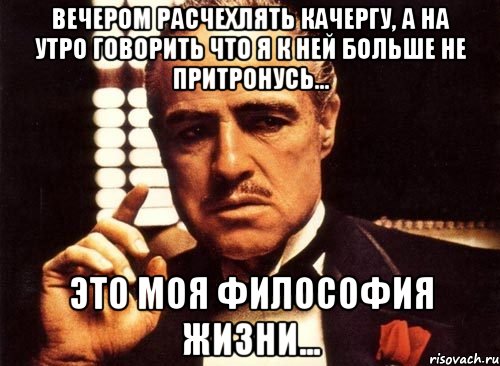 вечером расчехлять качергу, а на утро говорить что я к ней больше не притронусь... это моя философия жизни..., Мем крестный отец