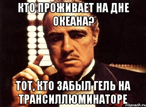 кто проживает на дне океана? тот, кто забыл гель на трансиллюминаторе, Мем крестный отец