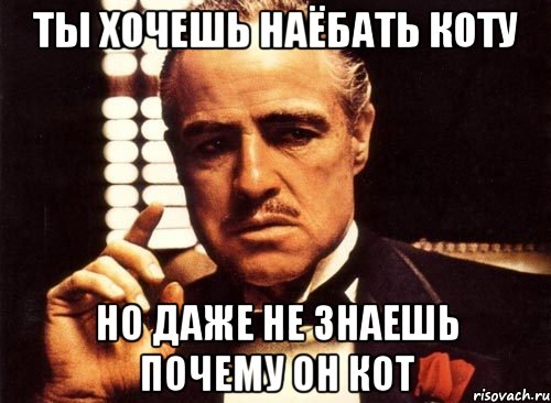 ты хочешь наёбать коту но даже не знаешь почему он кот, Мем крестный отец