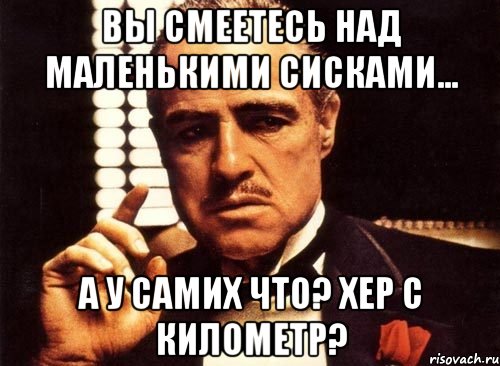 вы смеетесь над маленькими сисками... а у самих что? хер с километр?, Мем крестный отец