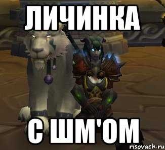 личинка с шм'ом, Мем Лалачки