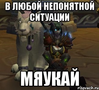 в любой непонятной ситуации мяукай