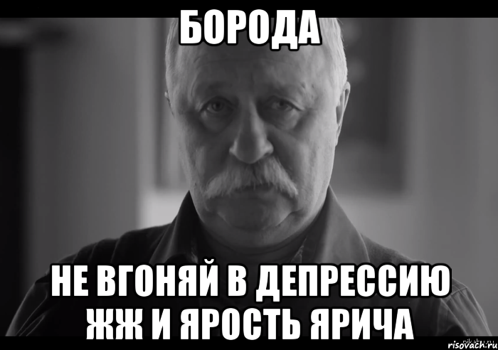 борода не вгоняй в депрессию жж и ярость ярича, Мем Не огорчай Леонида Аркадьевича