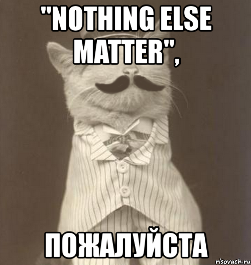 "nothing else matter", пожалуйста, Мем Like a Sir