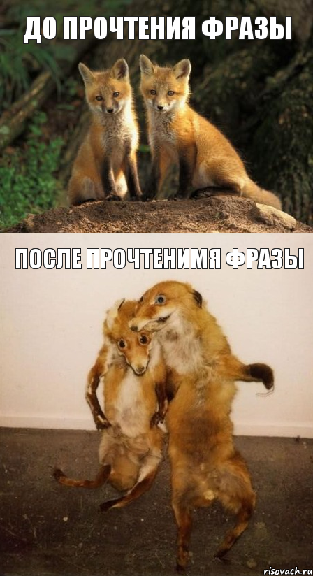 До прочтения фразы После прочтенимя фразы, Комикс Лисицы