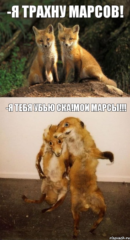 -Я трахну Марсов! -Я тебя убью ска!Мои Марсы!!!, Комикс Лисицы